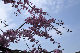 image0357