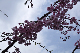 image0358