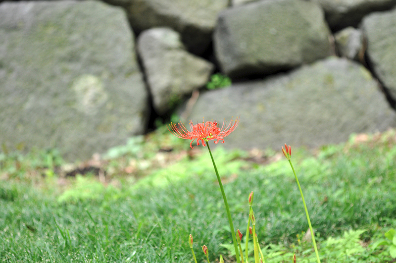 image0070