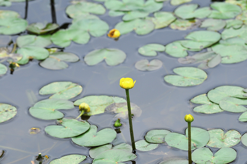 image0087
