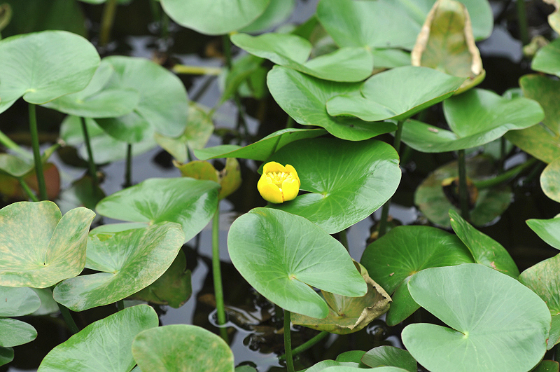 image0089