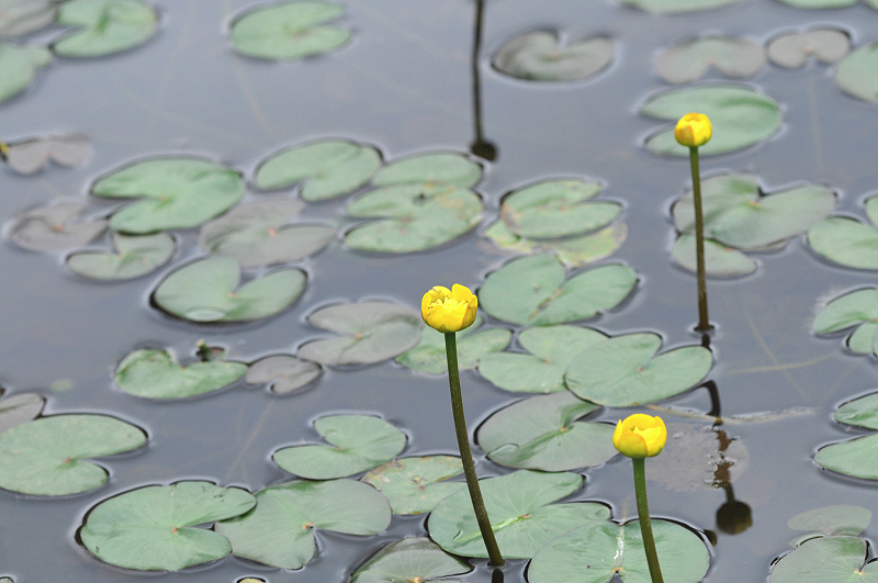 image0092