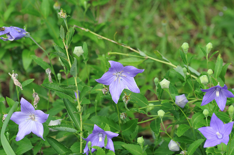 image0104
