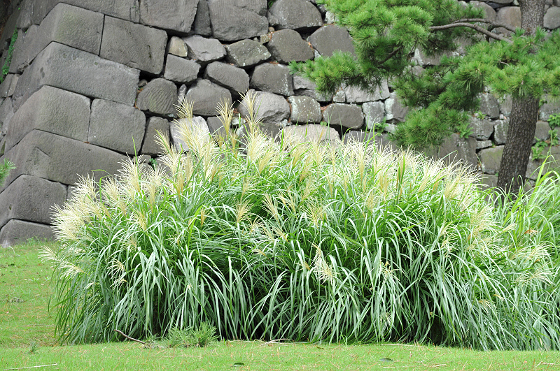 image0113