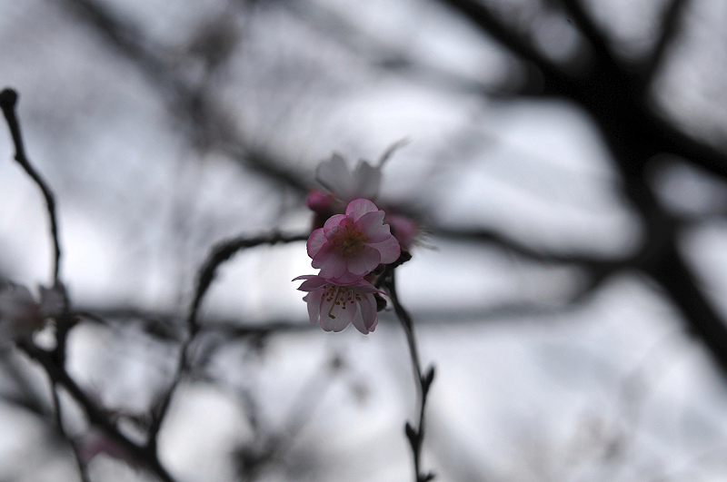 image0068