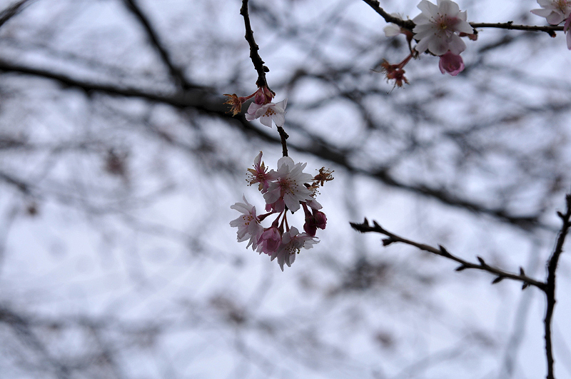 image0076
