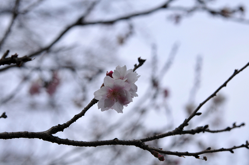 image0080