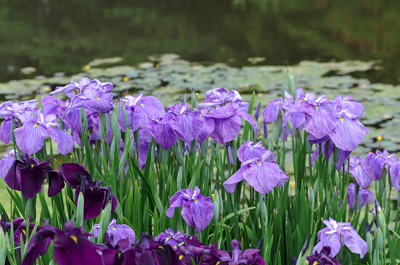 image0109