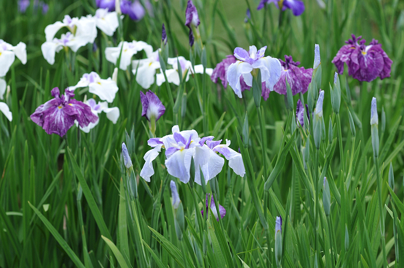 image0117