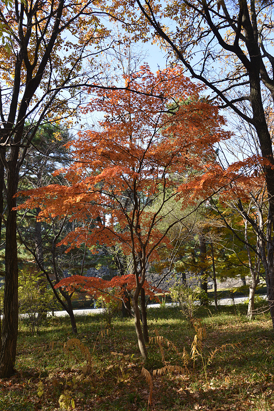 image0064