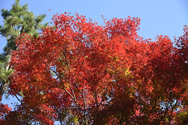 image0103