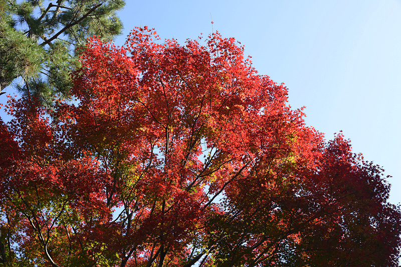 image0105