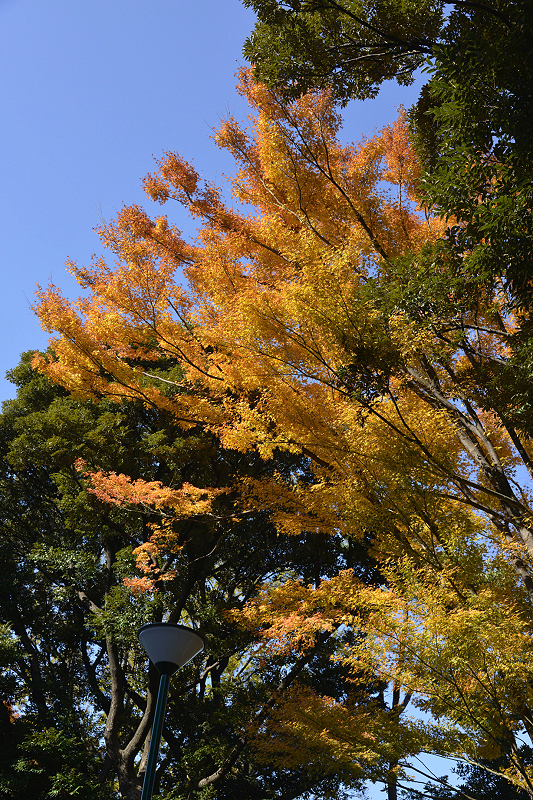 image0112
