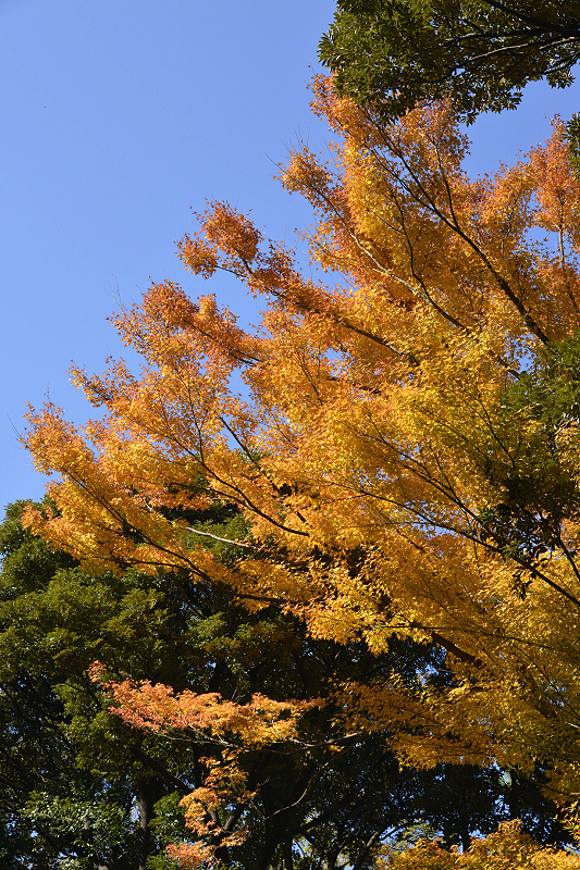 image0113