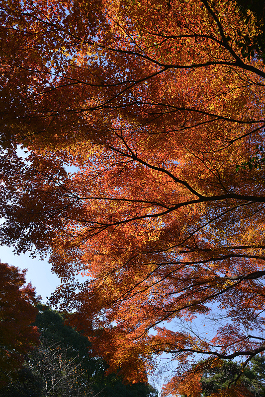 image0118