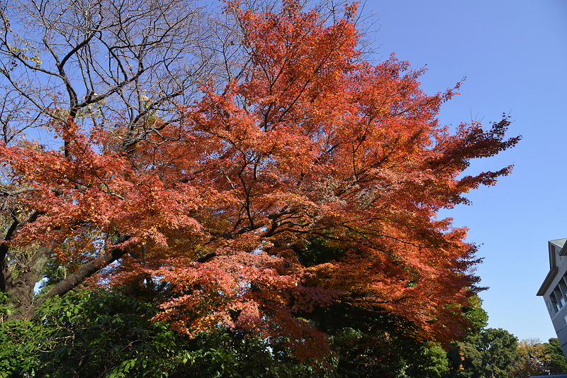 image0123