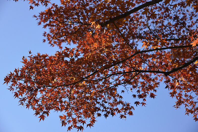 image0130
