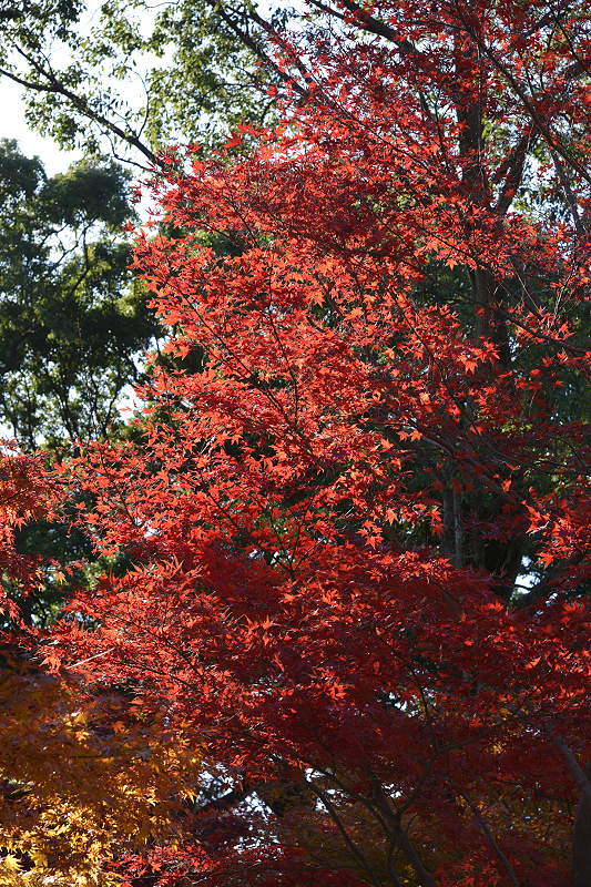 image0145