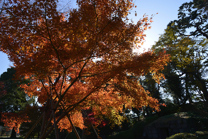 image0153