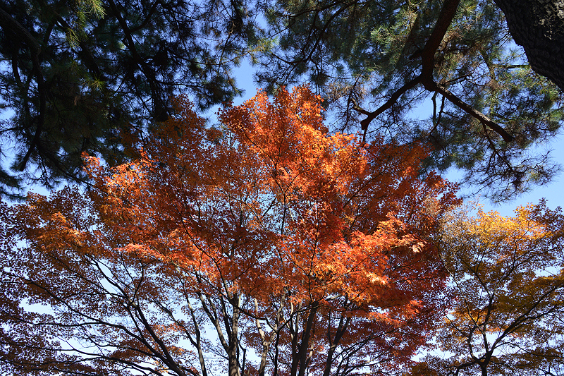image0170