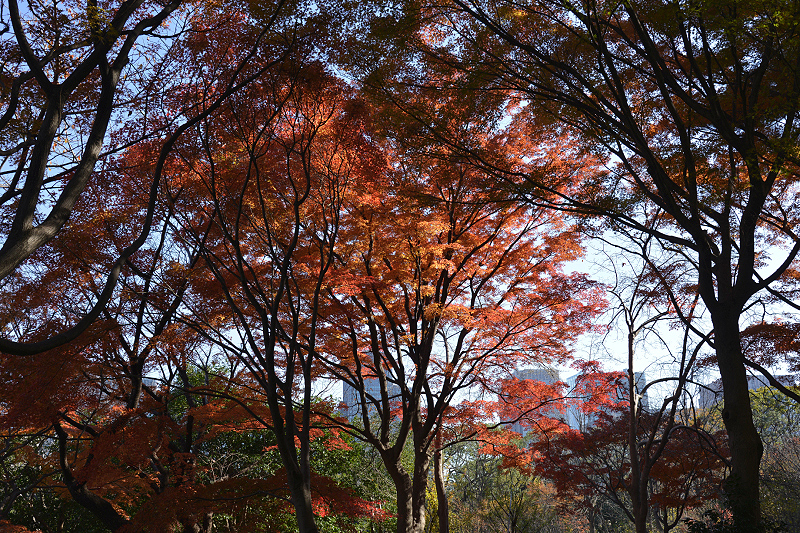 image0173