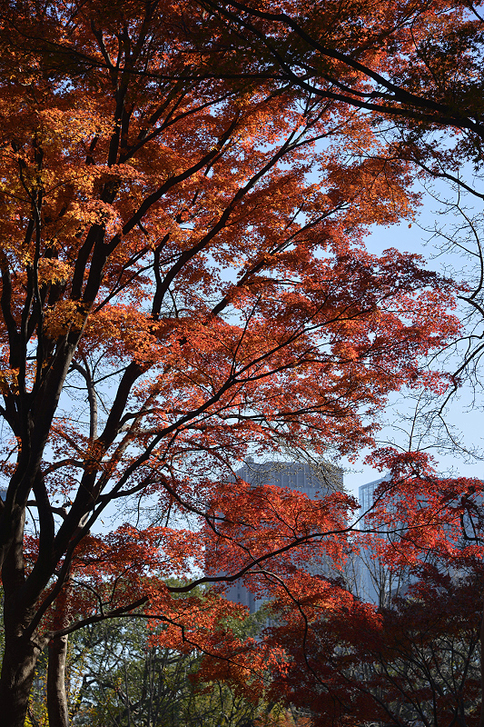 image0176