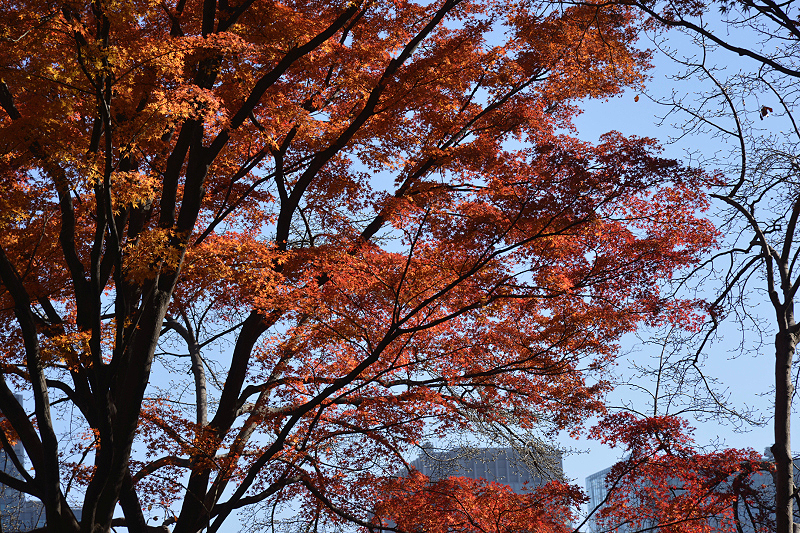 image0177