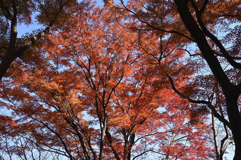 image0183