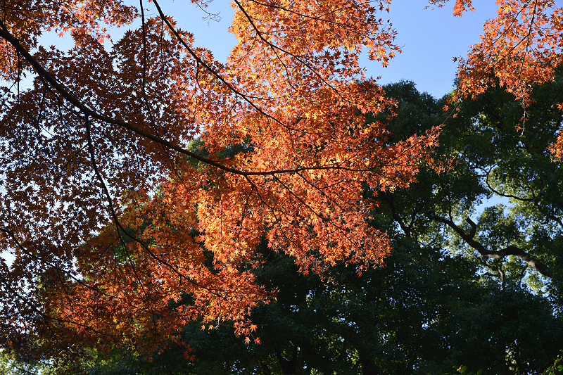 image0186