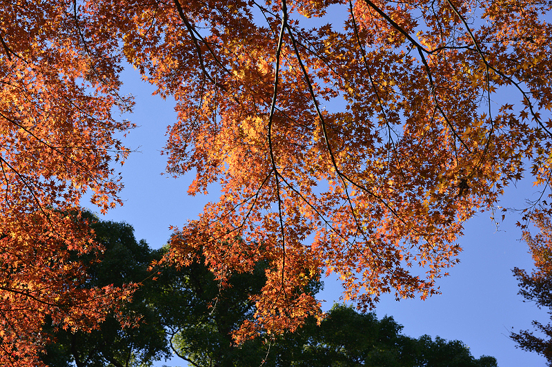 image0187