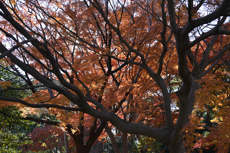 image0196
