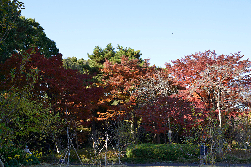 image0198
