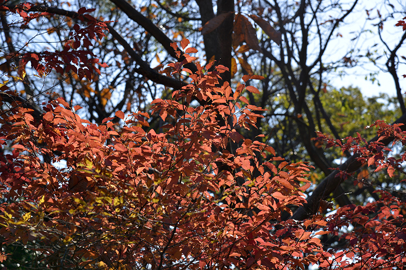 image0201