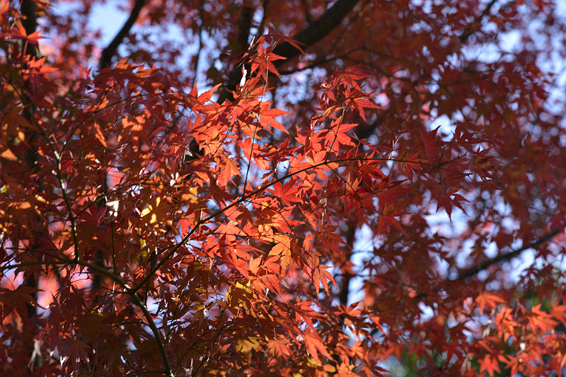 image0203