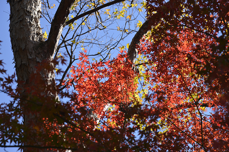 image0204