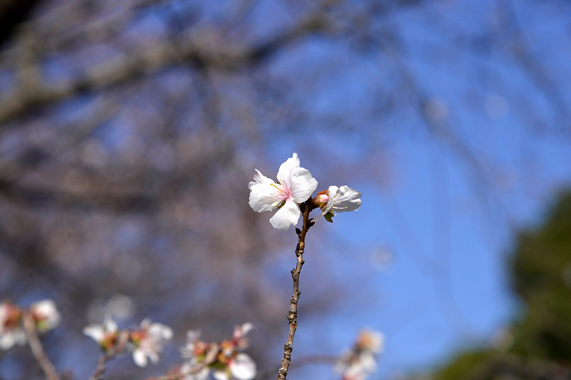 image0210