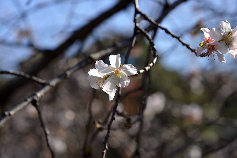 image0213