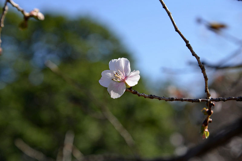 image0214