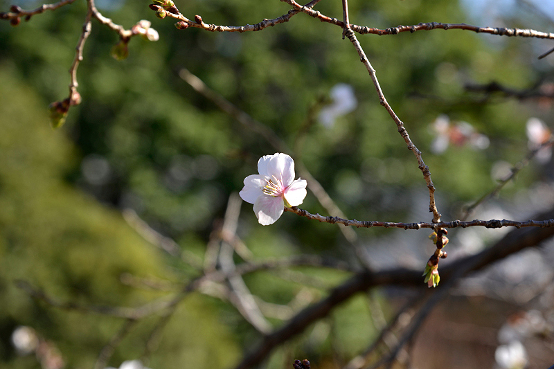 image0215