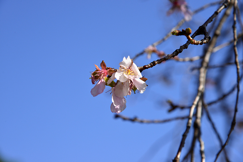 image0217