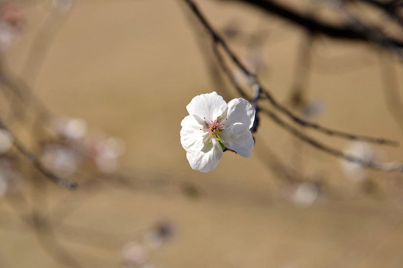 image0218