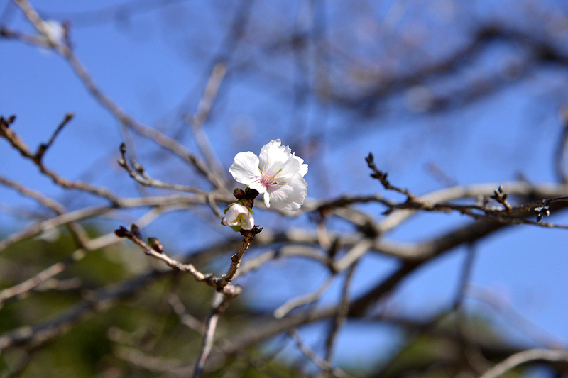 image0219
