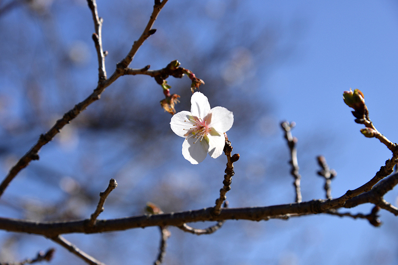 image0220