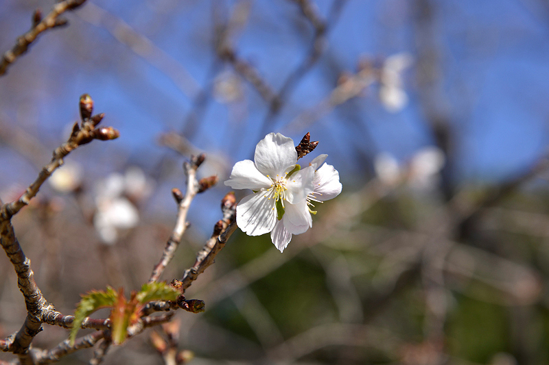 image0221