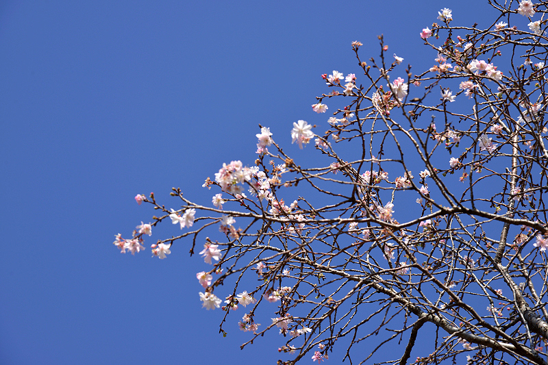 image0224