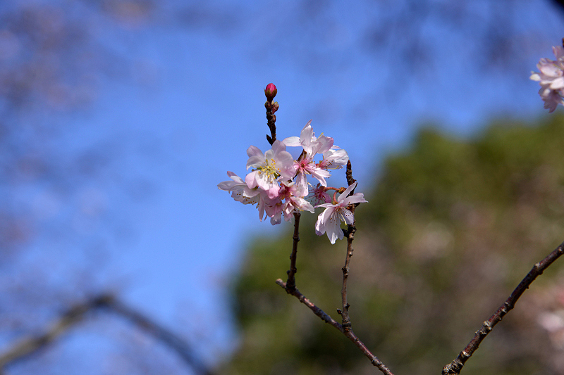 image0226