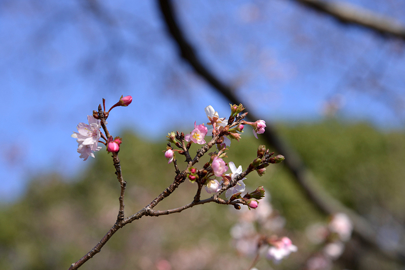image0227