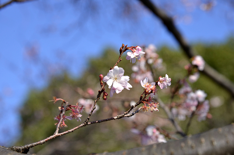 image0228