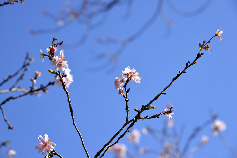 image0229