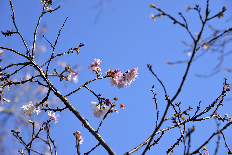 image0230